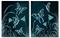 Art: Crystal Glade Print Set by Artist Elaina Wagner