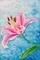 Art: Floral Painting - Stargazer Lily by Artist Hiroko Reaney