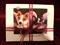 Art: Corgi Note Cards & Envelopes by Artist Camille Meeker Turner