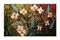 Art: NIGHT FLOWERS Original Fine Art Print by Artist LUIZA VIZOLI
