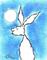 Art: WHITE HARE h2562 by Artist Dawn Barker