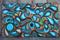Art: PACIFIC DREAM by Artist Mary Capan