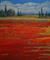 Art: Champ De Pavot by Artist Virginia Kilpatrick