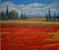 Art: Champ De Pavot by Artist Virginia Kilpatrick