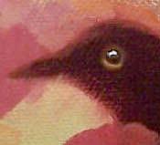 Detail Image for art Crow & Poppies 2/06