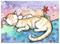Art: aceo catnap by Artist Molly Harrison