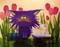 Art: Purple Cat White Kitten by Artist Cynthia Schmidt