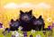Art: ACEO 3 Black Cats by Artist Cynthia Schmidt