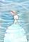 Art: bunny on Snow Hill by Artist Molly Harrison