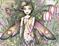 Art: Fae Lia close up by Artist Molly Harrison