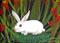 Art: White Bunny in the Forest by Artist Cynthia Schmidt