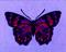 Art: Butterflies Art Print Series, #1 by EBSQ Artist, Judith porto by Artist Judith D. Porto
