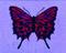 Art: Butterflies Art Print Series, #2 by EBSQ Artist, Judith Porto by Artist Judith D. Porto