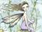 Art: Wild Daisy Close Up by Artist Molly Harrison