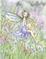 Art: Blue Wildflower Fairy by Artist Molly Harrison