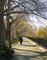 Art: NCN_6576.jpg by Artist Richard Holland
