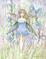 Art: Periwinkle full by Artist Molly Harrison