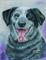 Art: EXCERCISE 3 DOG WITH TONGUE   PASTEL ON PAPER  16X12 by Artist Marion Dutton