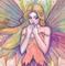 Art: wildflowerextracloseup by Artist Molly Harrison