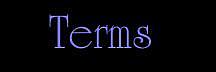 Art: terms by Artist Molly Harrison