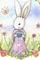 Art: easterbunnycloseup by Artist Molly Harrison