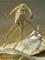 Art: Mountain Goat by Artist Ruth Edward Anderson