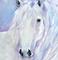Art: Cwhitehorse by Artist Deborah Sprague
