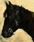 Art: windchillmemorialpaintinga by Artist Deborah Sprague