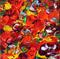Art: SUMMER PETALS  2012 by Artist LUIZA VIZOLI
