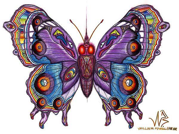 Art: butterfly8 by Artist William Powell Brukner