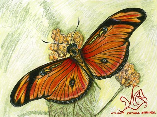 Art: butterfly4 by Artist William Powell Brukner