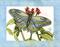 Art: butterfly10 by Artist William Powell Brukner