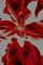 Art: tomato basil by Artist Windi Rosson