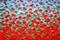 Art: Red Flowers (a) by Artist Luba Lubin