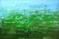 Art: Light Green Abstraction - 133 (a) by Artist Luba Lubin