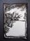 Art: Spring Bookplate by Artist Chris Jeanguenat