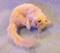 Art: Silk Furred Cream Cat by Artist Camille Meeker Turner