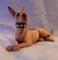 Art: great dane 017 by Artist Camille Meeker Turner