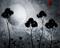 Art: Wonder... In a world without color by Artist Jaime Zatloukal Best