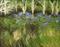 Art: J A Blackwell Landscape Impressionism Nature Classic  Original Painting Fan by Artist J A Blackwell