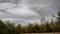Art: IMG 20160904 173004550 (Small) by Artist Chris Jeanguenat