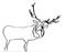 Art: Wire Elk by Leonard G. Collins by Artist Leonard G. Collins