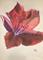 Art: red azalia resize by Artist Rossi Kelton