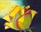 Art: solitary rose 2850 x 2175 by Artist Rossi Kelton