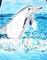 Art: dolphinshirt by Artist Rossi Kelton