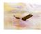 Art: where eagles fly by Artist Rossi Kelton
