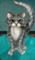 Art: Boo Kitty  PRT IMAGE lr by Artist Alma Lee