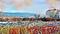 Art: urban spral lr by Artist Alma Lee