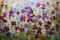 Art: PANSY FLOWERS FIELD by Artist LUIZA VIZOLI