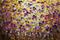 Art: WILD FLOWERS by Artist LUIZA VIZOLI
